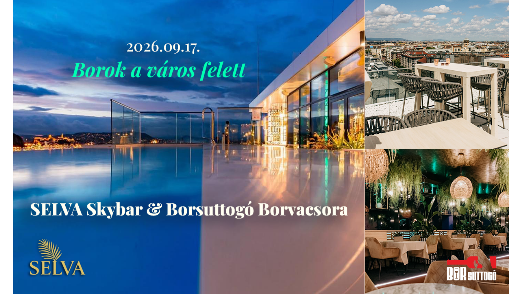 Borsuttogó borkereskedés és Webáruház
