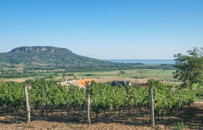 The work of Badacsony winemakers in this unique wine region