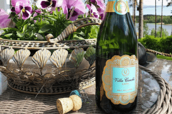 Cava – Mi az és miért szeretjük?