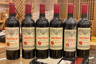 Discover the world of dry red wines!