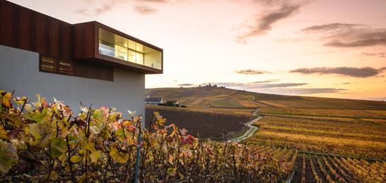 Verzenay landscape and Cube