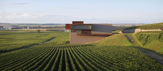 Cube in vineyard